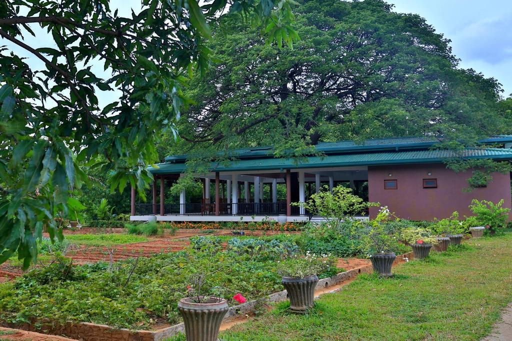 Grand & Gangula Dambulla Exterior foto