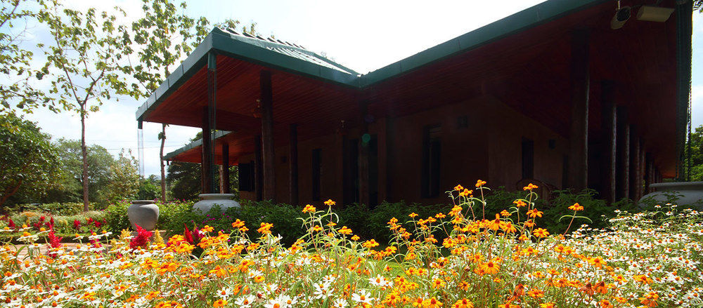 Grand & Gangula Dambulla Exterior foto