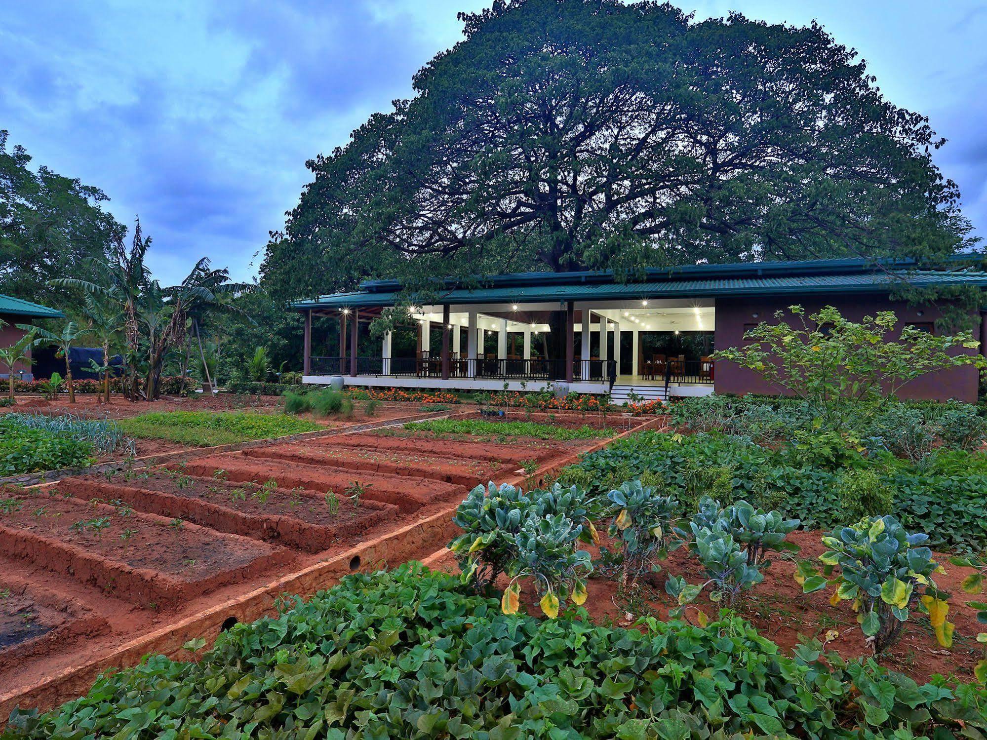 Grand & Gangula Dambulla Exterior foto
