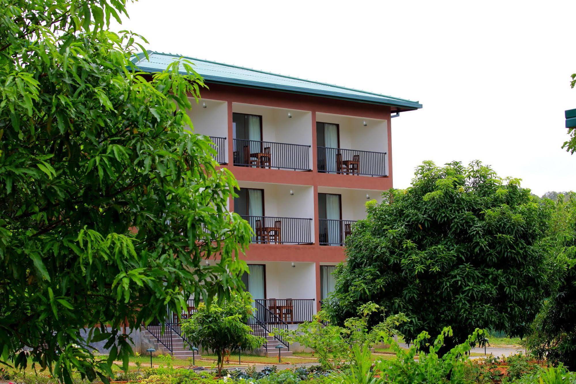 Grand & Gangula Dambulla Exterior foto