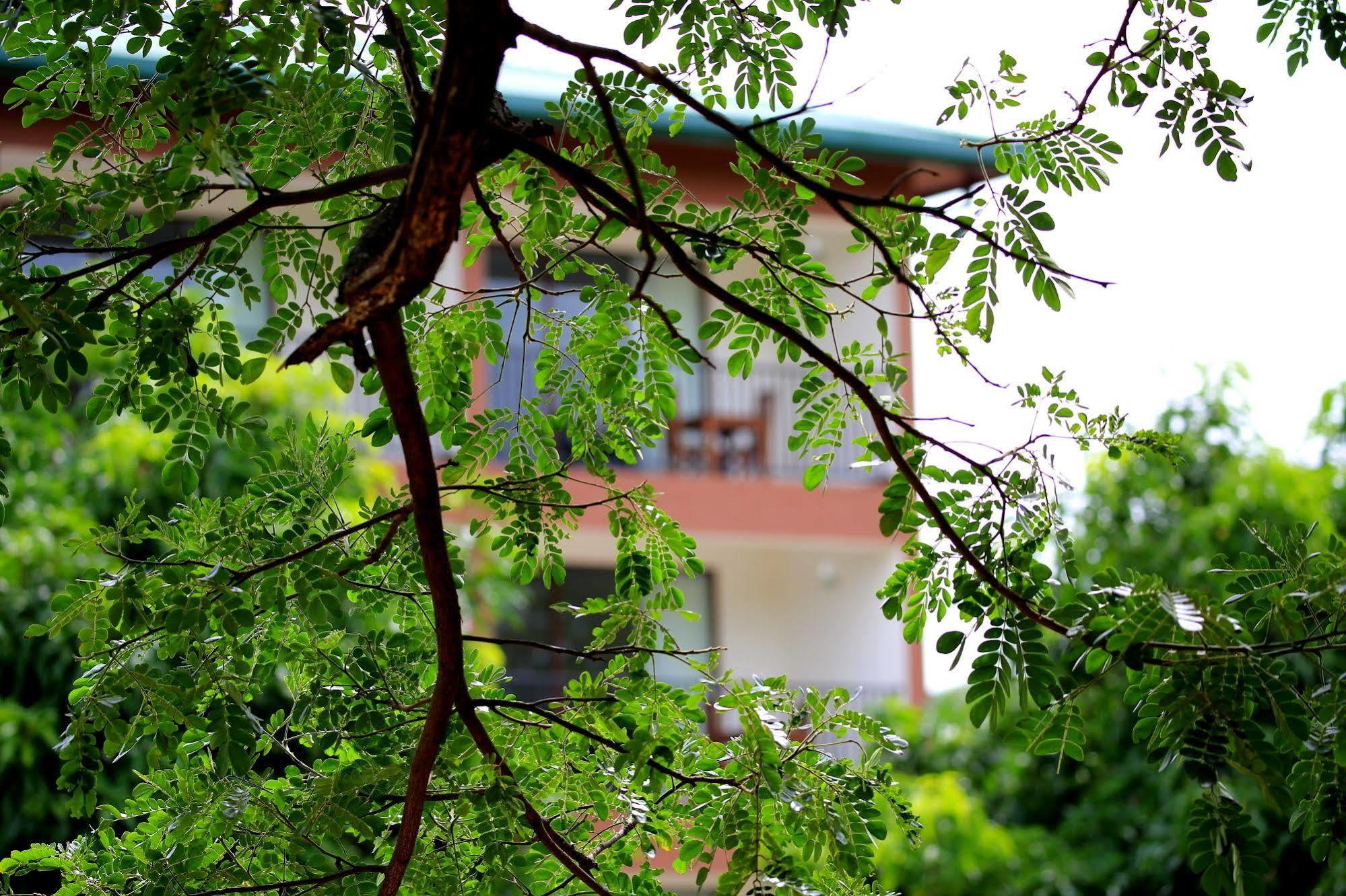 Grand & Gangula Dambulla Exterior foto